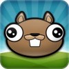 Noogra Nuts for Android for Free