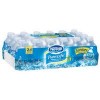 312 Nestle Pure Life Water Bottles for $31.87 Shipped