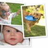 CVS - Free 50 4x6 Photo Prints