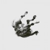 Dark is the Way, Light is a Place MP3 Album Download for $3.99