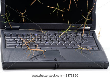 Name:  stock-photo-laptop-covered-by-stick-bugs-over-keyboard-and-screen-suited-for-any-computer-protec.jpg
Views: 86
Size:  36.7 KB
