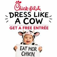 Chick-Fil-A Dress Like a Cow Get a Free Entree Until 7pm