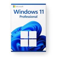 Microsoft Windows 11 Pro Lifetime Activation Key