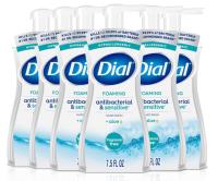 Dial Antibacterial Foaming Hand Soap 6 Pack