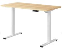 FlexiSpot ET155E 48in Electric Adjustable Desk