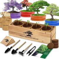 Bonsai Tree Starter Kit