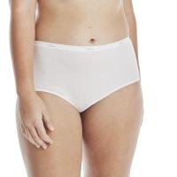 Hanes Womens Underwear Brief 10 Pack