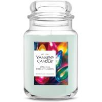 Yankee Candle Large Scented Candle