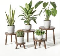 Delma Wood Plant Stands Indoor 5 Pack
