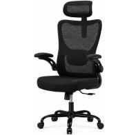 Huanuo High Back Ergonomic Office Chair