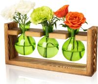 Xxxflower Glass Plant Terrarium Propagation Station Green