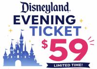 Disneyland Evening Admission Ticket Until August 5th 2026