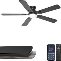 Phylluz 52in Flush Mount Ceiling Fan