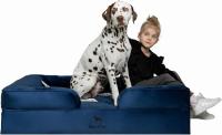 Noah and Paw XL Dog Bed