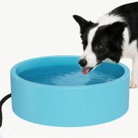 Dog and Cat Large Heated Water Bowl