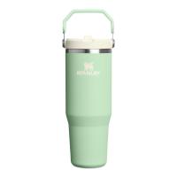 Stanley IceFlow 2.0 Flip Straw Tumbler Pistachio