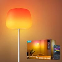 Govee Halo Gradient Lantern Floor Lamp