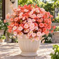 Fall Artificial Morning Glory Flowers Outdoors