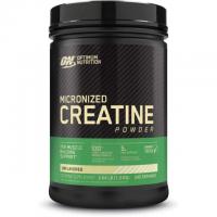 240 Optimum Nutrition Micronized Monohydrate Creatine Powder