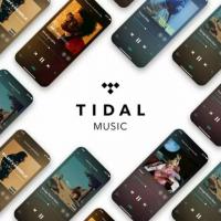 Tidal HiFi Music Streaming Service 6 Months Service