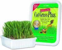 Cat-About by MiracleCorp Gimborn Single Cat Grass Plus