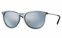 Ray-Ban Erika Sunglasses