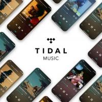 Tidal Hifi 3 Month Subscription