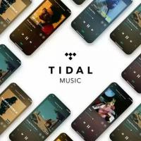 Tidal Premium 3 Month Subscription