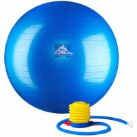 Professional Grade Stability Ball