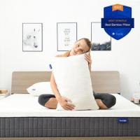 SweetNight Memory Foam Pillows