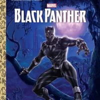 22 Black Panther Digital Comic Books