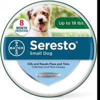 Seresto 8-Month Flea & Tick Prevention Dog Collar