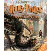 Harry Potter and the Goblet of Fire The Illustrated Edition Book