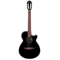 Ibanez AEG50N 6-String Acoustic Electric Guitar
