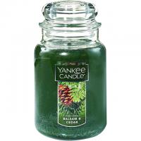 Yankee Candle Balsam and Cedar Large Jar Candle