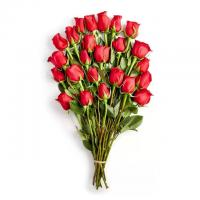 Whole Foods 2-Dozen Rose Bouquet