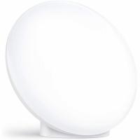 TaoTronics Light Therapy Lamp