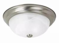 Sea Gull Flush Mount Ceiling Light Fixture