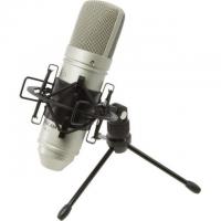 Tascam TM-80 Studio Condenser Microphone