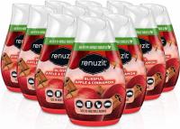 12 Renuzit Gel Air Freshener