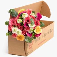 BloomsyBox Beautiful Bouquets Mixed Flowers