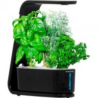 AeroGarden Sprout Easy Setup Healthy Cooking Garden