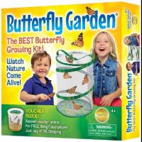 Insect Lore BH Butterfly Growing Kit