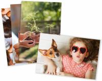 21 4x6 Photo Prints