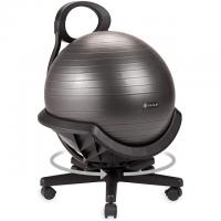 Gaiam Ultimate Balance Ball Chair