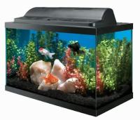 Aqueon 10-Gallon Aquarium Kit