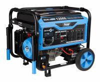 Pulsar 12000W Dual-Fuel Electric Start Generator