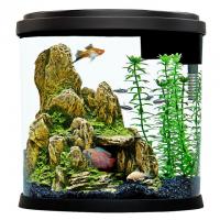 Top Fin Enchant 3.5-Gallon Aquarium