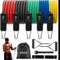 Veick Resistance Bands Set