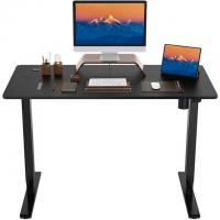 FlexiSpot 48x24 Adjustable Electric Standing Desk